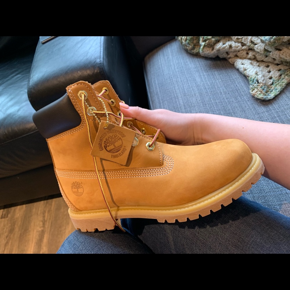 BNWB Timberland 6in Waterproof Boot